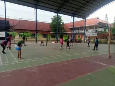 VOLY 3